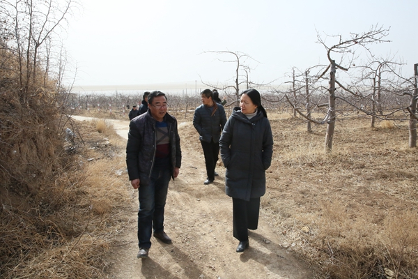 微信圖片_20180213150308_小.jpg